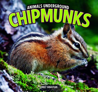 Chipmunks  cover image cdn