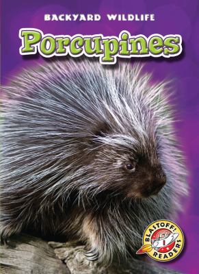 Porcupines  cover image cdn