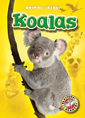 Koalas cover image