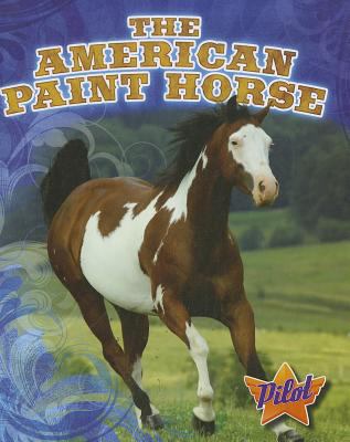 The American paint horse cover image