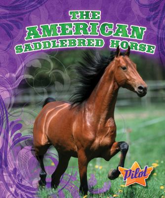 The American saddlebred horse cover image