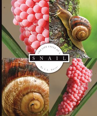 The life cycle of a snail cover image