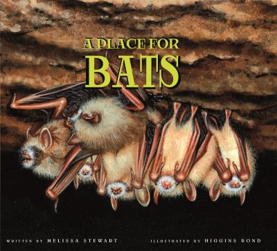 A place for bats cover image