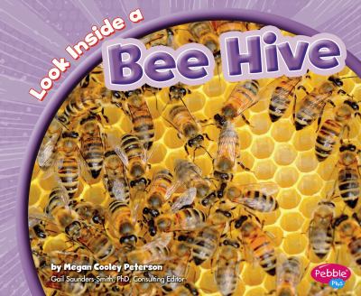 Look inside a bee hive cover image