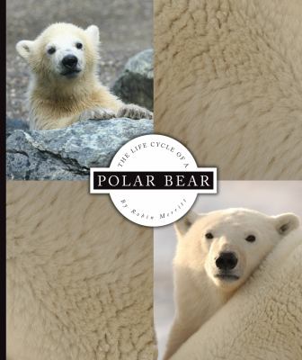 The life cycle of a polar bear cover image