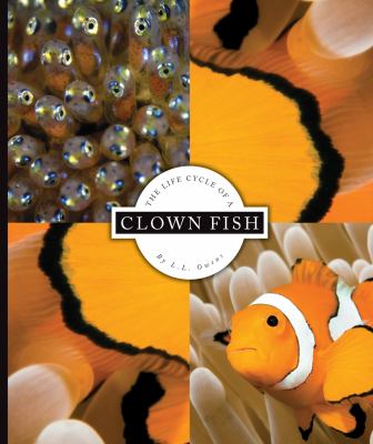 The life cycle of a clown fish cover image