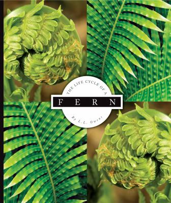 The life cycle of a fern cover image