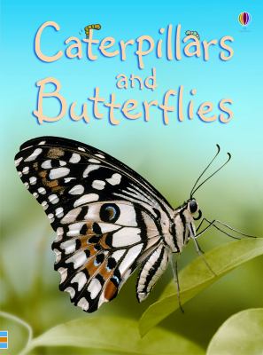 Caterpillars and butterflies cover image