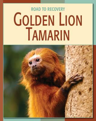 Golden lion tamarin cover image