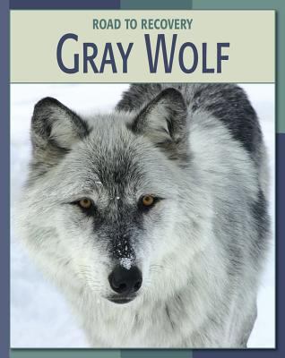 Gray wolf cover image