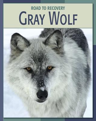 Gray wolf  cover image cdn