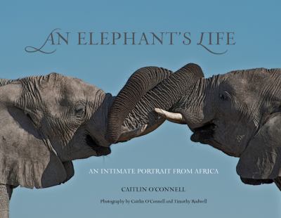 An elephant's life : an intimate portrait from Africa  cover image cdn