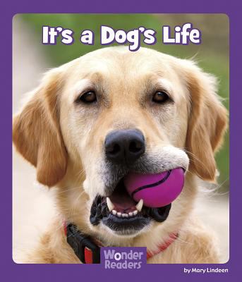 It's a dog's life cover image