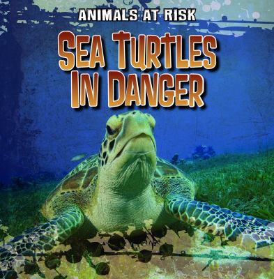 Sea turtles in danger cover image