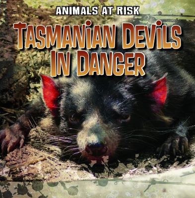 Tasmanian devils in danger cover image