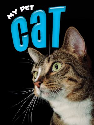 Cat  cover image cdn