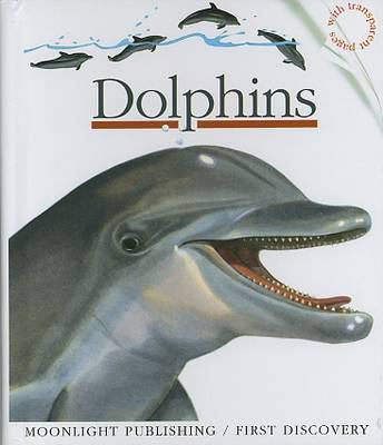 Dolphins  cover image cdn