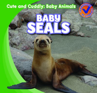 Baby seals  cover image cdn