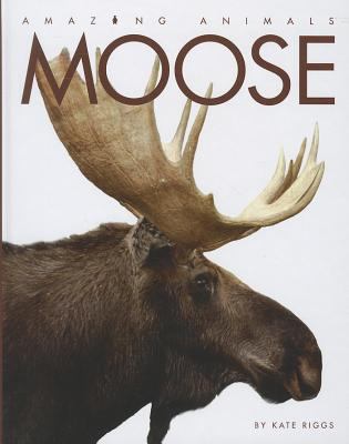 Moose cover image