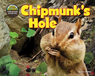 Chipmunk's hole  cover image cdn