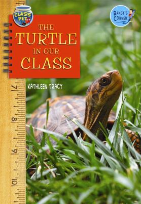 The turtle in our class cover image
