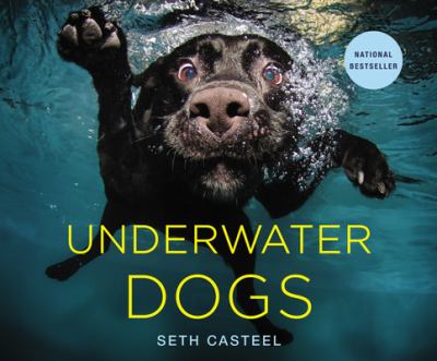 Underwater dogs  cover image cdn