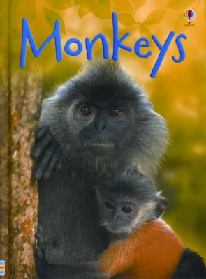 Monkeys  cover image cdn