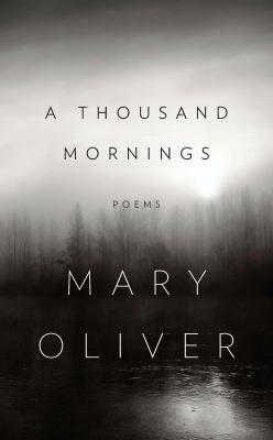 A thousand mornings cover image