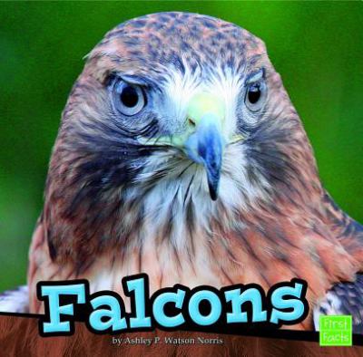 Falcons cover image