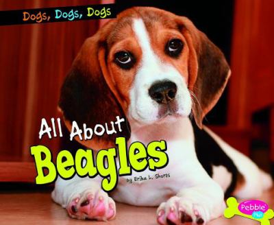 All about beagles cover image