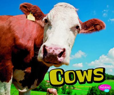 Cows  cover image cdn