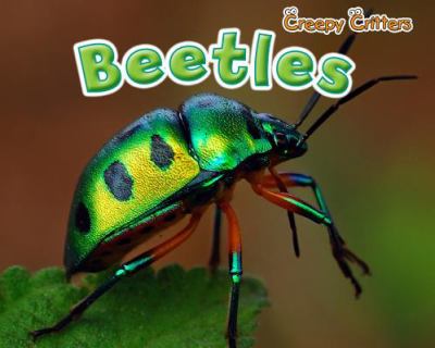 Beetles  cover image cdn