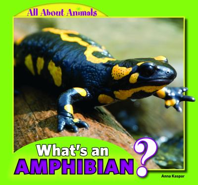 What's an amphibian? cover image