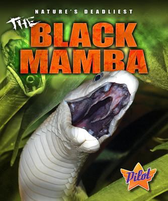 The black mamba cover image