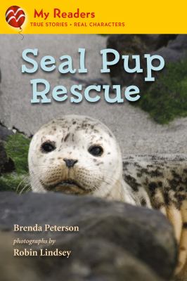 Seal pup rescue  cover image cdn