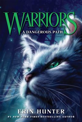 A dangerous path cover image