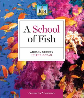 A school of fish : animal groups in the ocean cover image