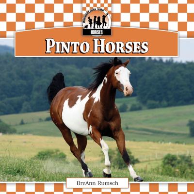 Pinto horses cover image