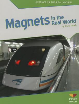 Magnets in the real world cover image