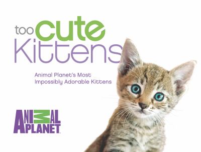 Too cute kittens cover image