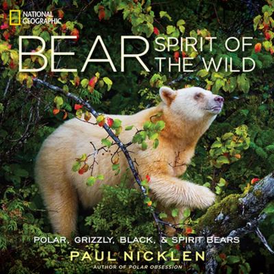 Bear : spirit of the wild cover image