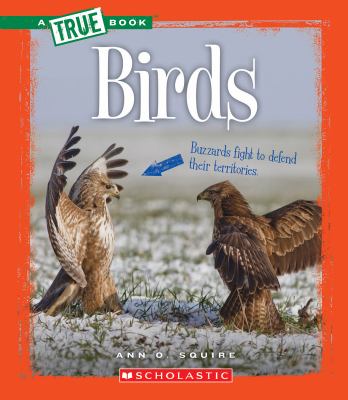 Birds  cover image cdn