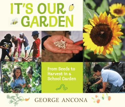 It's our garden : from seeds to harvest in a school garden cover image