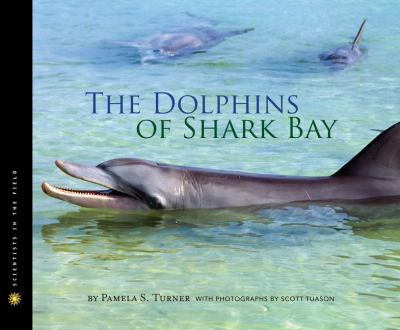 The dolphins of Shark Bay cover image