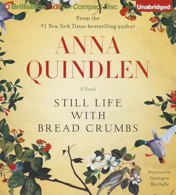 Still life with bread crumbs cover image