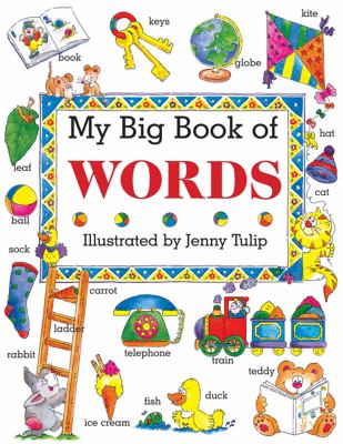 My big book of words cover image