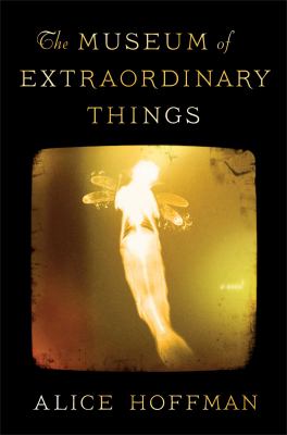 The Museum of Extraordinary Things cover image
