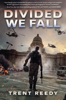 Divided we fall  cover image cdn