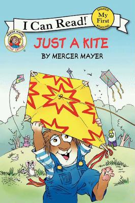 Just a kite cover image