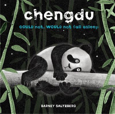 Chengdu could not, would not fall asleep cover image
